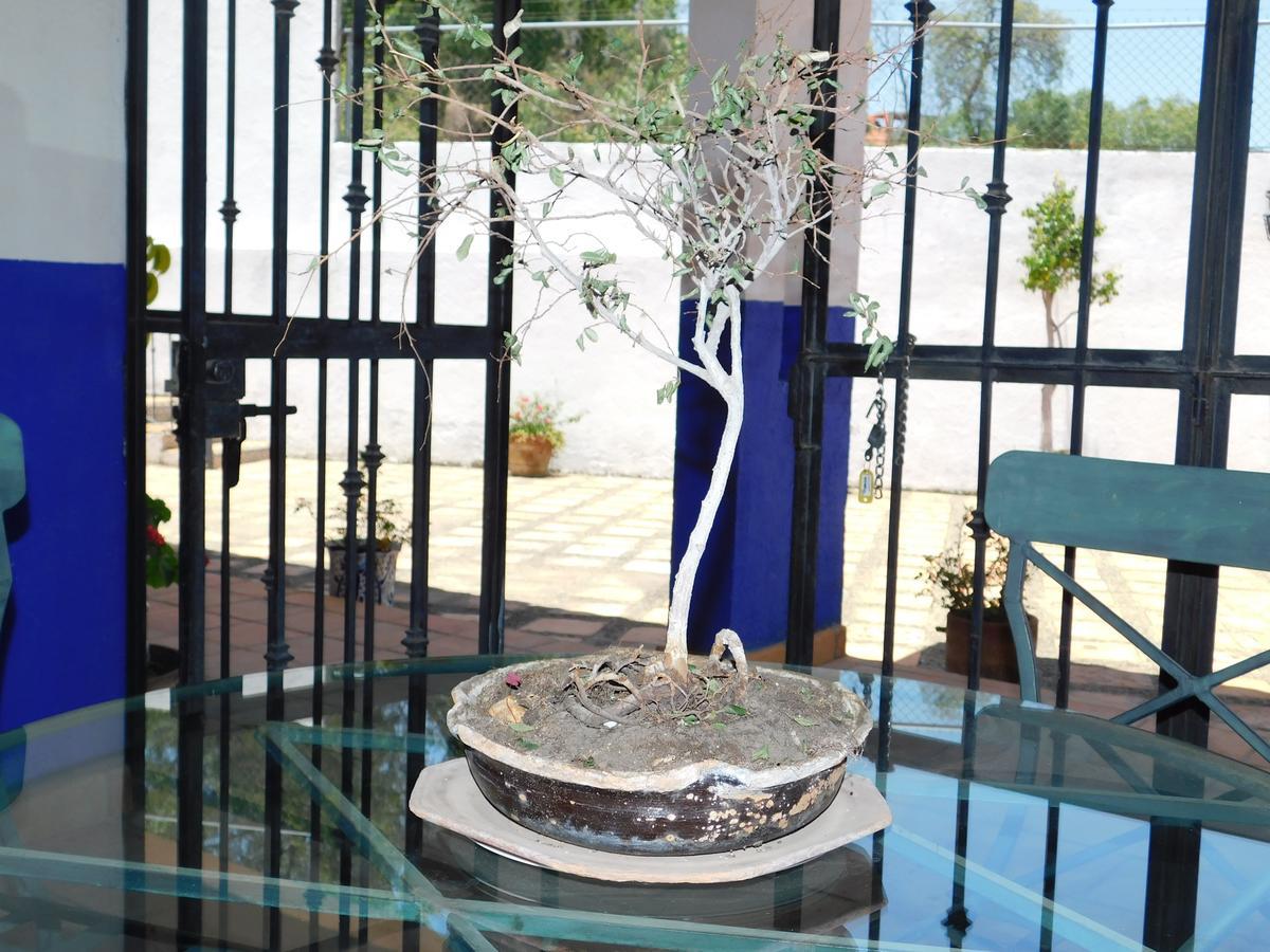 Casa Erizo 39 (Adults Only) Hotel Guanajuato Buitenkant foto
