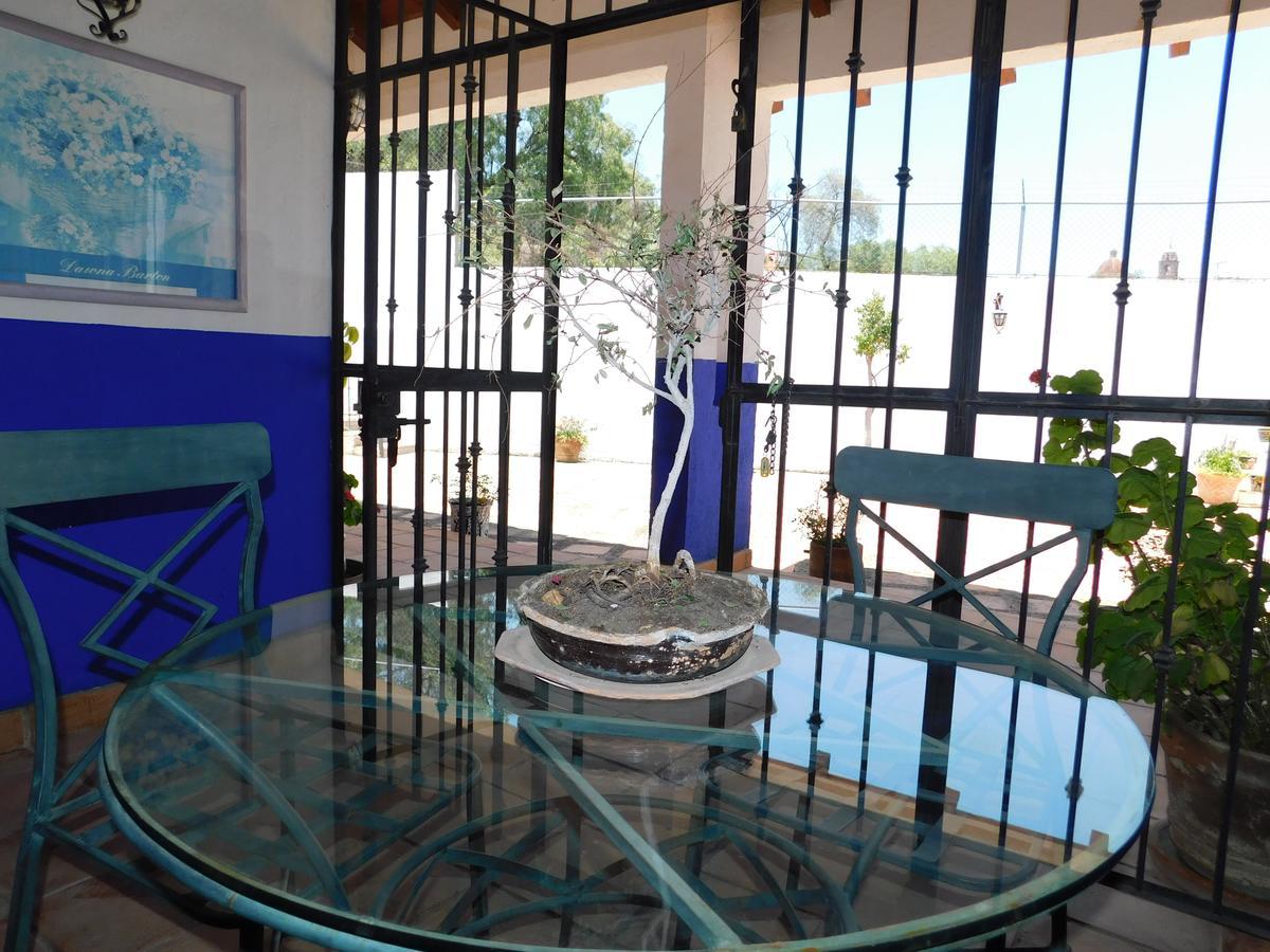 Casa Erizo 39 (Adults Only) Hotel Guanajuato Buitenkant foto