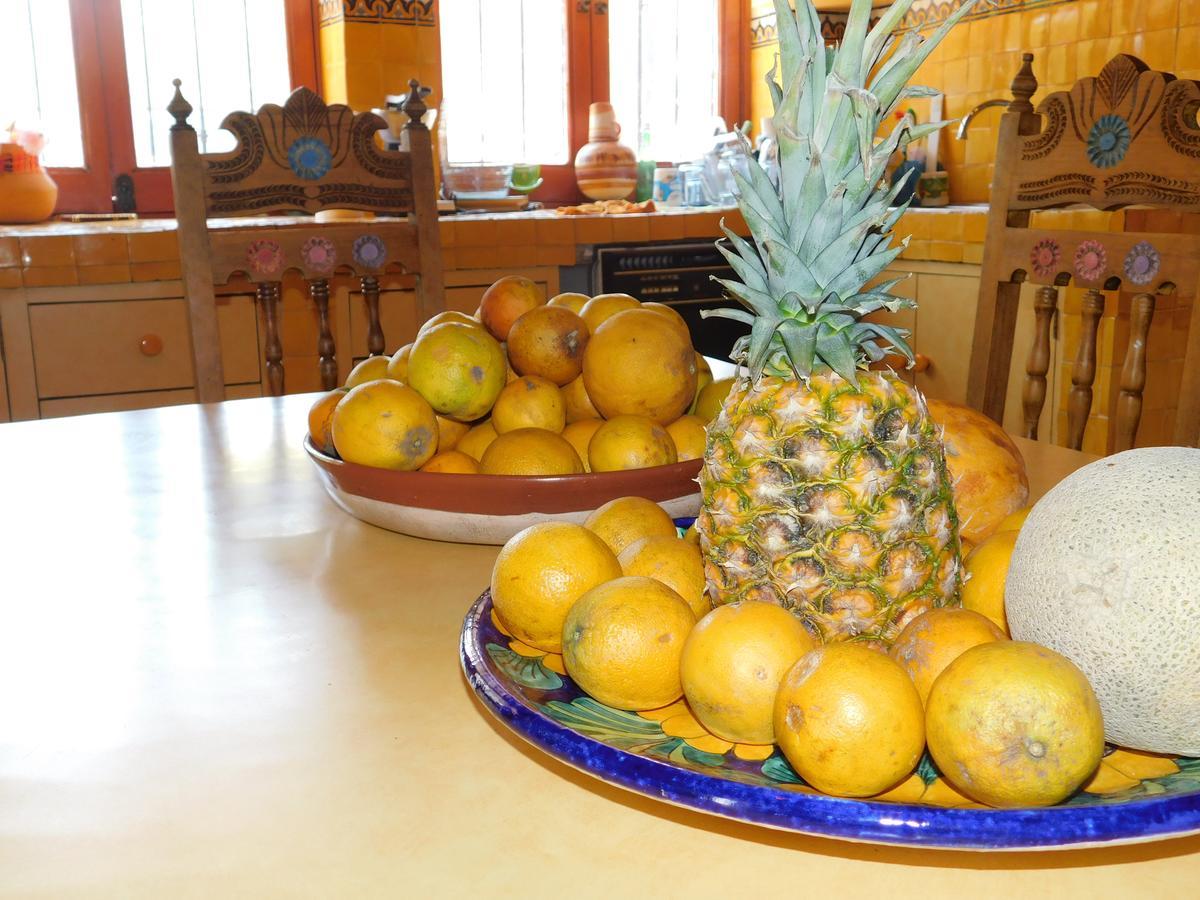 Casa Erizo 39 (Adults Only) Hotel Guanajuato Buitenkant foto